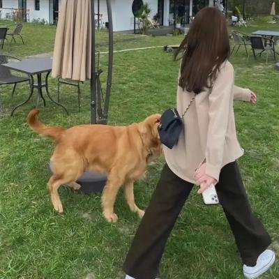 猛男诞生记